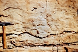 Exposure of the Seven Rivers Fm in Rocky Arroyo. These are tidal flat dolomites that appear to be have stromatolitic layering. Close by these dolomites interfinger to the west wtih collapsed breccias formed after the disolution of supratidal anhydrites. These breccias also interfinger with continental clastics. Kendall Photograph